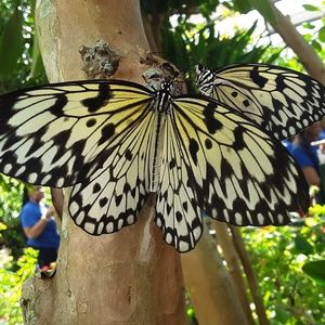 Meet your Posher, Claire